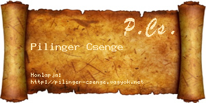 Pilinger Csenge névjegykártya